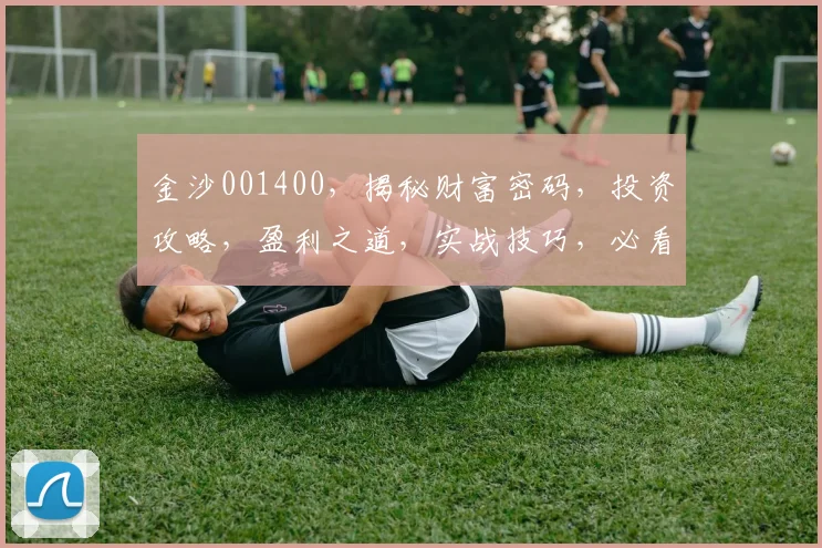 金沙001400，揭秘财富密码，投资攻略，盈利之道，实战技巧，必看攻略