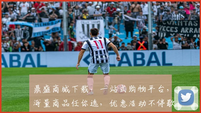鼎盛商城下载，一站式购物平台，海量商品任你选，优惠活动不停歇，快来体验