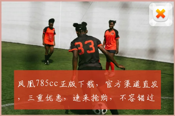 凤凰785cc正版下载，官方渠道直发，三重优惠，速来抢购，不容错过，立即下载