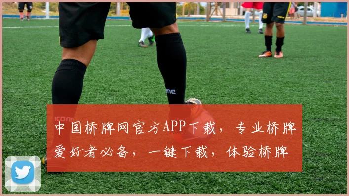 中国桥牌网官方APP下载，专业桥牌爱好者必备，一键下载，体验桥牌乐趣