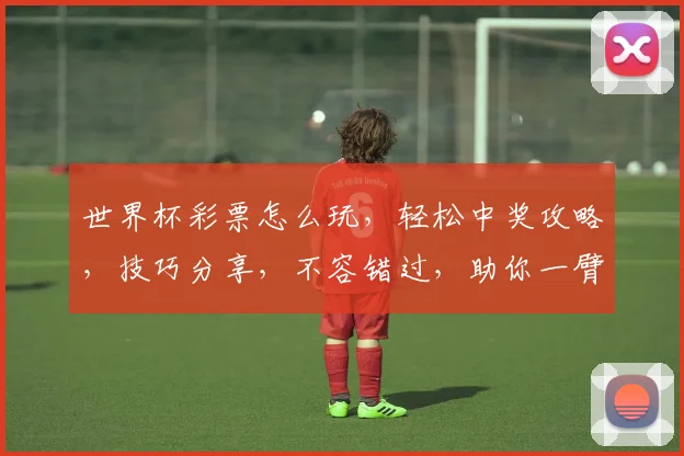 世界杯彩票怎么玩，轻松中奖攻略，技巧分享，不容错过，助你一臂之力